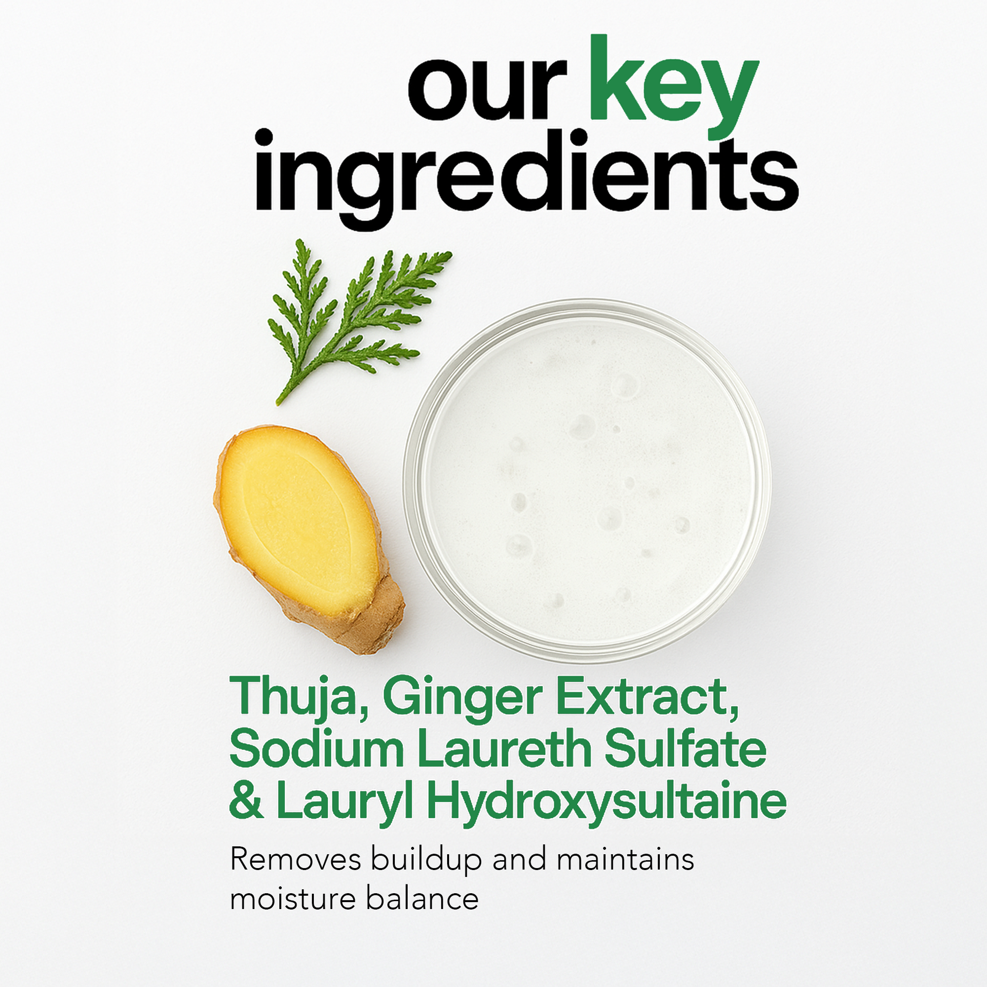 RS Reboot Clarifying Shampoo | Citrus & Green Tea Reset