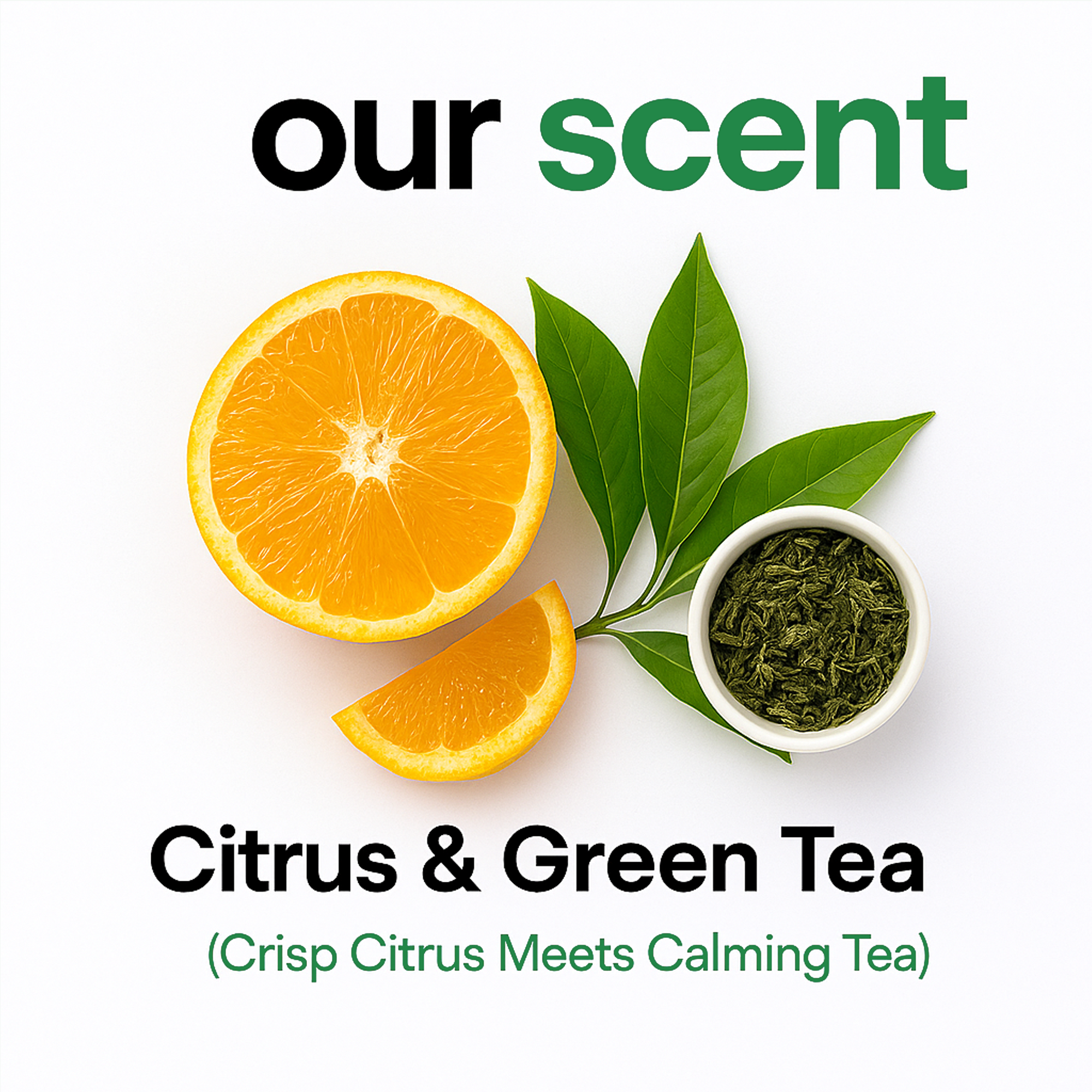 RS Reboot Clarifying Shampoo | Citrus & Green Tea Reset
